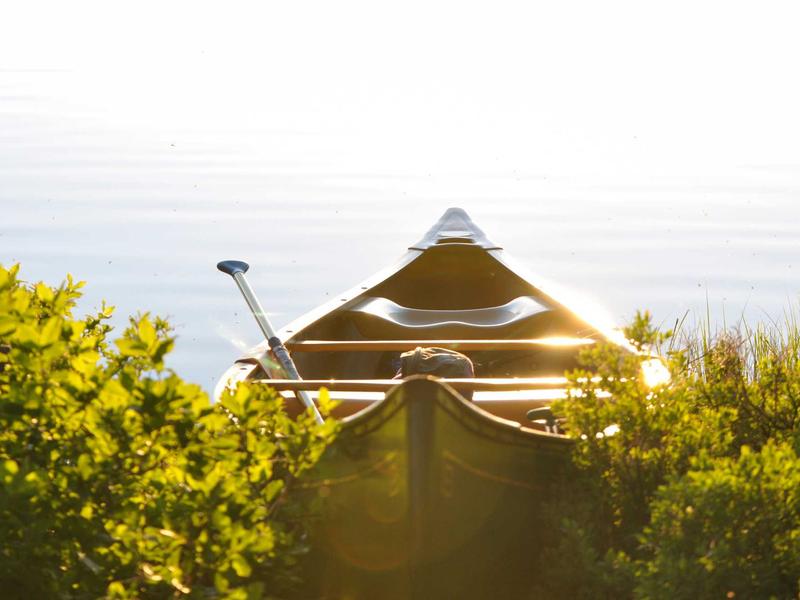 sudoku diagonal variant screenshot 2